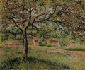 apple tree at eragny 1884 Camille Pissarro scenery